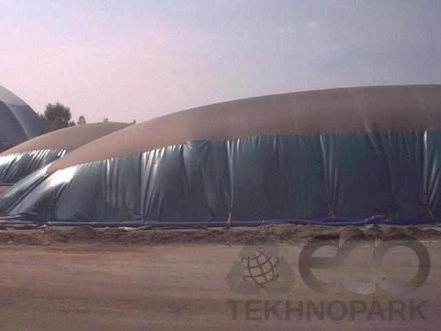 Processing system of organic waste