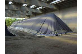 Processing system of organic waste