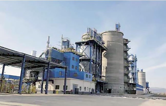 clinter-produce-plant1